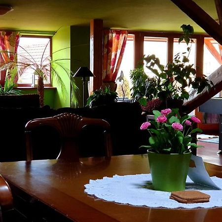 Luxury Oldtown Loft 320M2 On Hlavna Street Appartement Košice Buitenkant foto